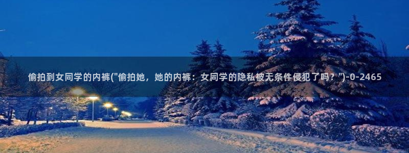 防偷窥隐私保护