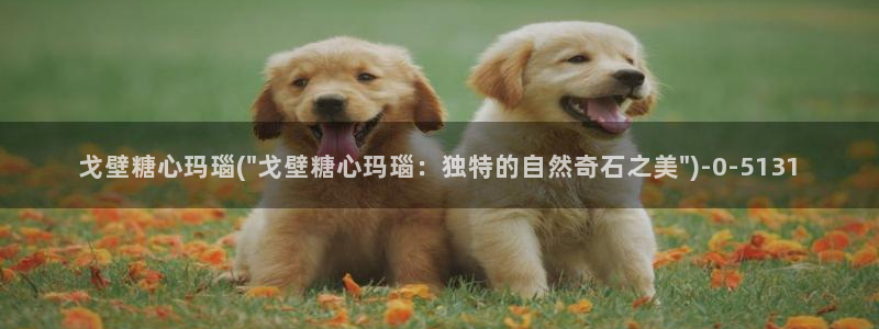 糖心vlog在线网站