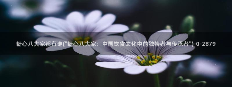 心糖vlog官网入口