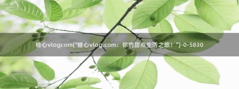 糖心官方vlog