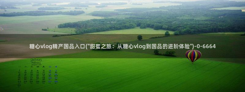 心糖vlog 网站
