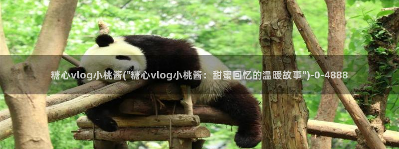 糖心vlog 入口