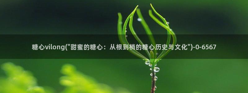 糖心vlog破解版无付费