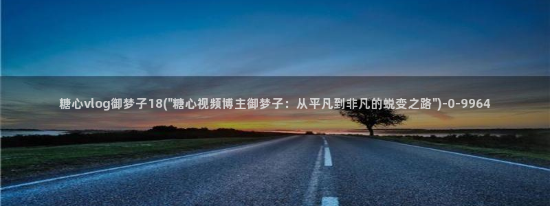 糖心vlog黄
