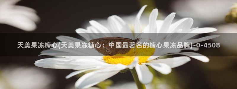 糖果心vlog免费
