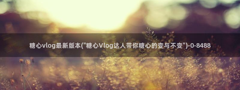 糖心vlog18