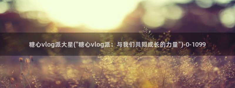 糖心深夜释放自己vlog新版本