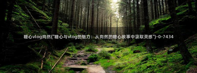 糖心vlog在线免费