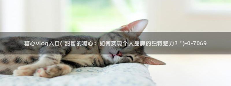 糖心vlog在线观看视频