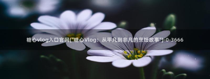 娜娜糖心的vlog背景故事